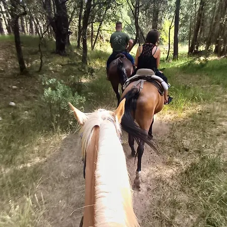 Сasa de vacaciones Casa Herrerillo