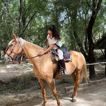 Сasa de vacaciones Casa Herrerillo Cazorla